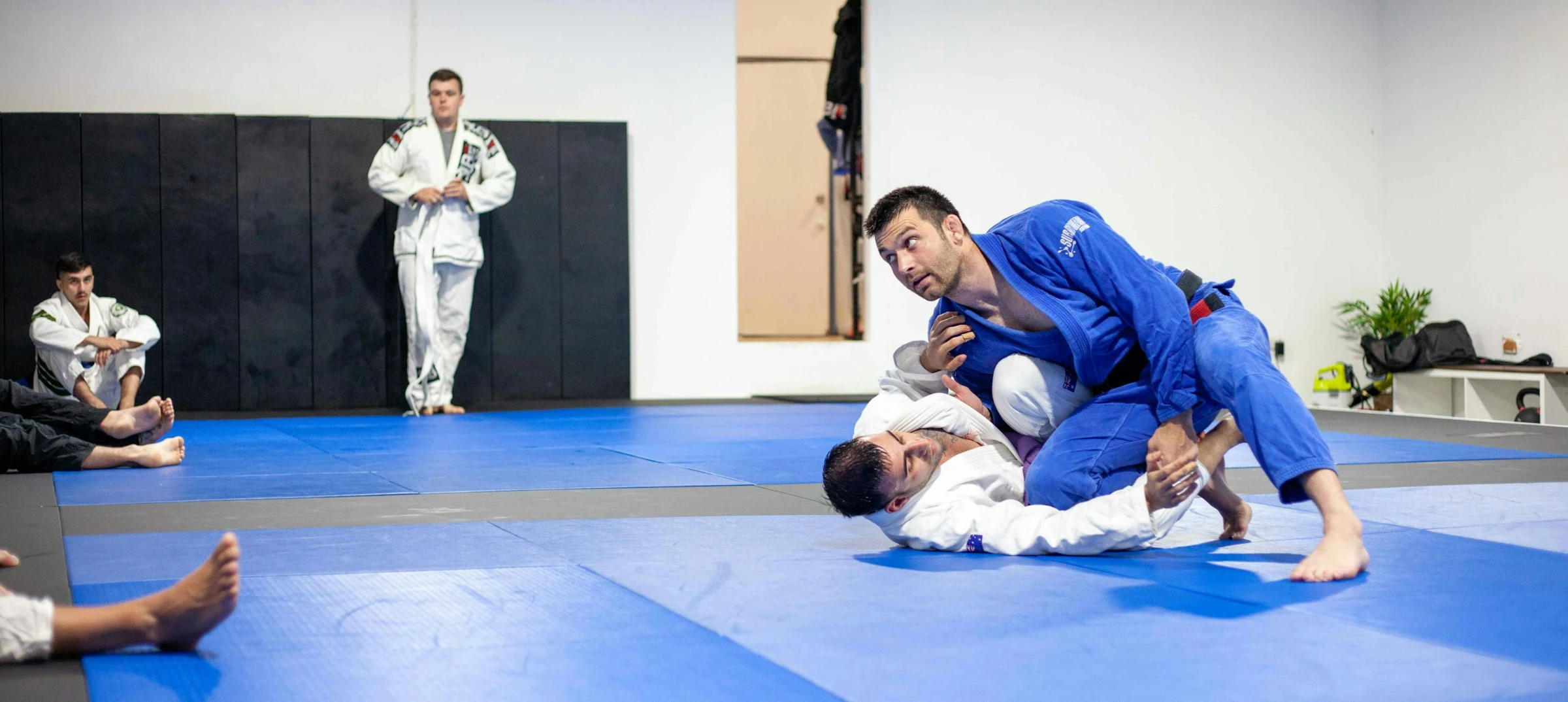 Brazilian Jiu-Jitsu practitioners developing their technique on the mat